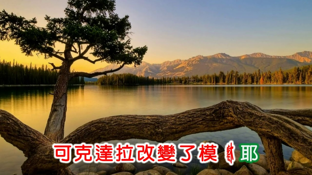 張小英 ~ 草原之夜