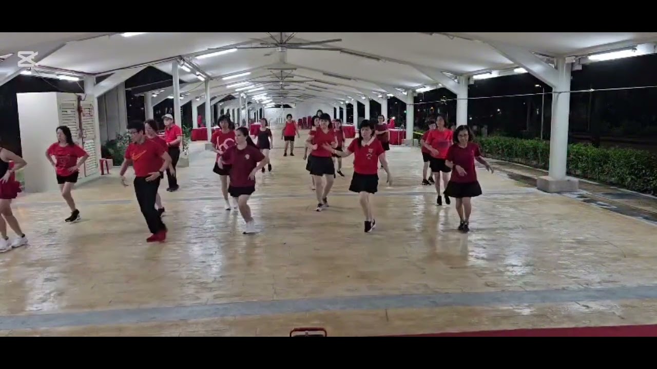 Celine Dion Remix -Line Dance.Choreo:Bambang Satiyawan (INA).