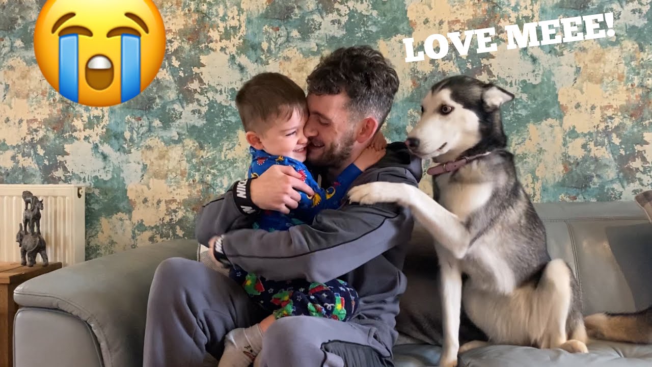 Jealous Husky Puppy Hilarious Reaction To Me Cuddling My Baby! [FUNNIEST REACTION EVER!!]
