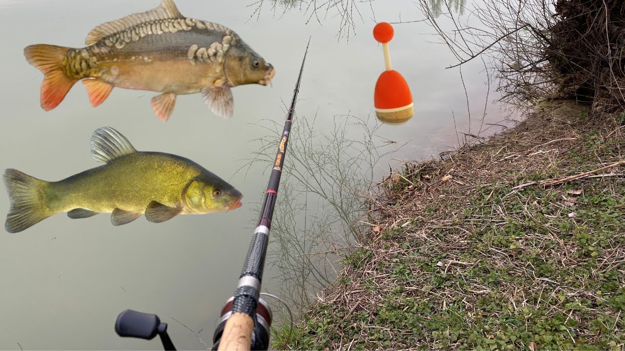 PECHE au VER au BOUCHON - Des Belles SURPRISES dans cette ETANG Communal !!! 4K