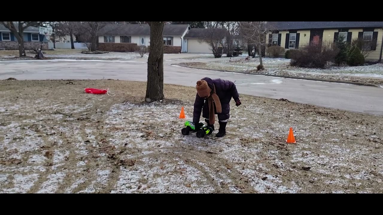 Canine & Geriatric Enrichment with Gorgo, Baloney and Barfy (Feb 22 2026)