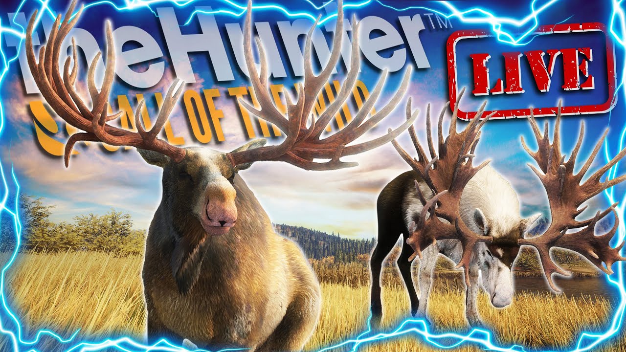 The 7 Day Great One Moose Grind Begins! The Hunter Call of the wild