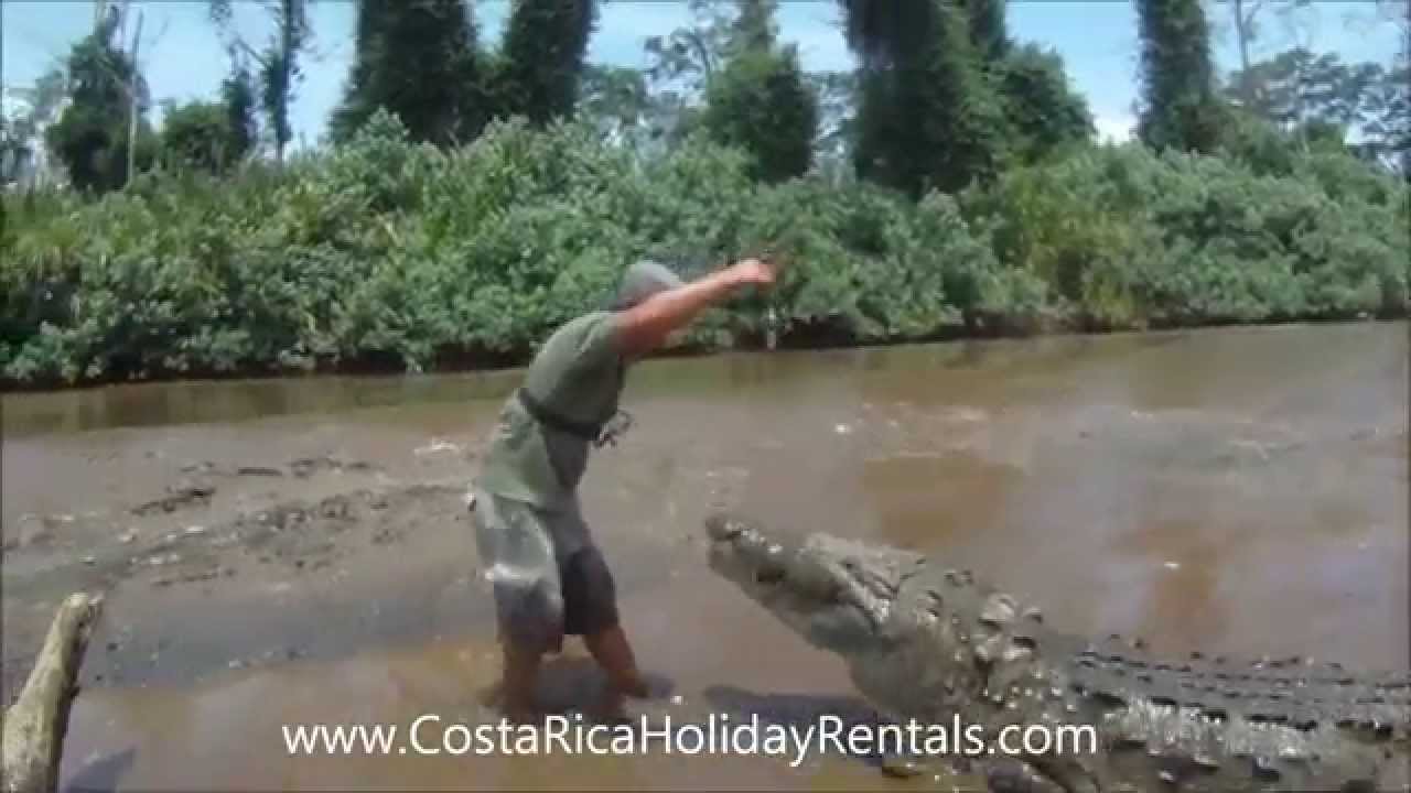 Costa Rica Crocodile Tours Jaco http://www.CostaRicaHolidayRentals.com