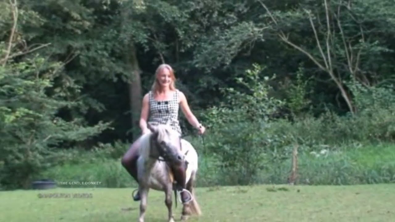 Pony Riding #pony #ponyriding #donkey #donkeyriding #Buffaloriding #sheepriding #cowriding #reiten