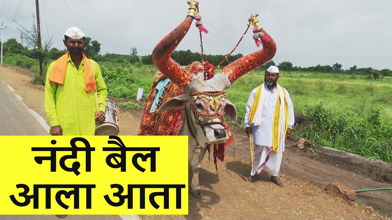 नंदी बैल आला आता | Nandi Bail