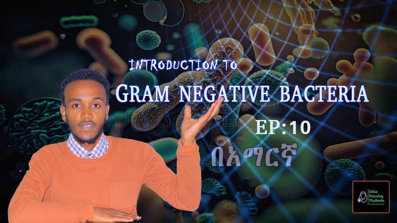 Microbiology Intro To Gram Negative Bacteria Ep:10  በአማርኛ Medically Important Bacteria