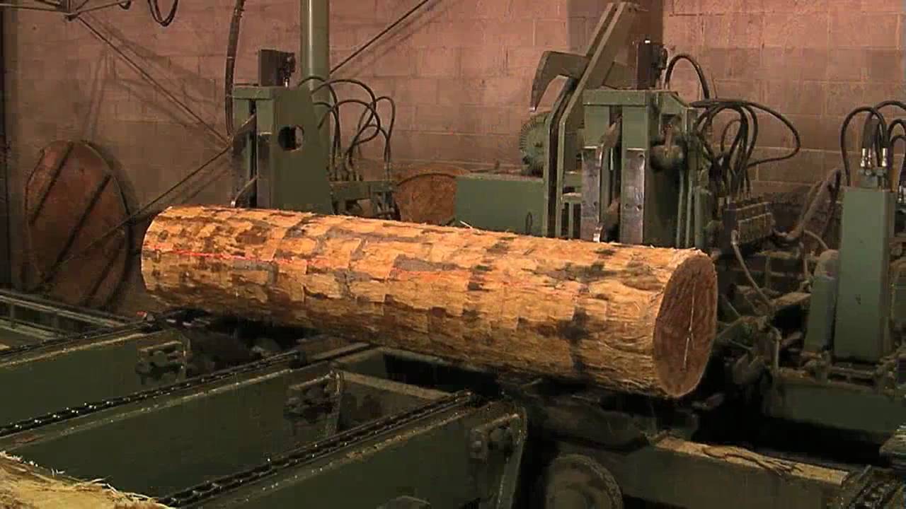 Logging and Veneer Process (no narration)