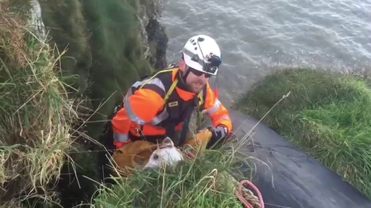 Incident 16/02 - Dog Cliff Rescue - Balscadden, Howth