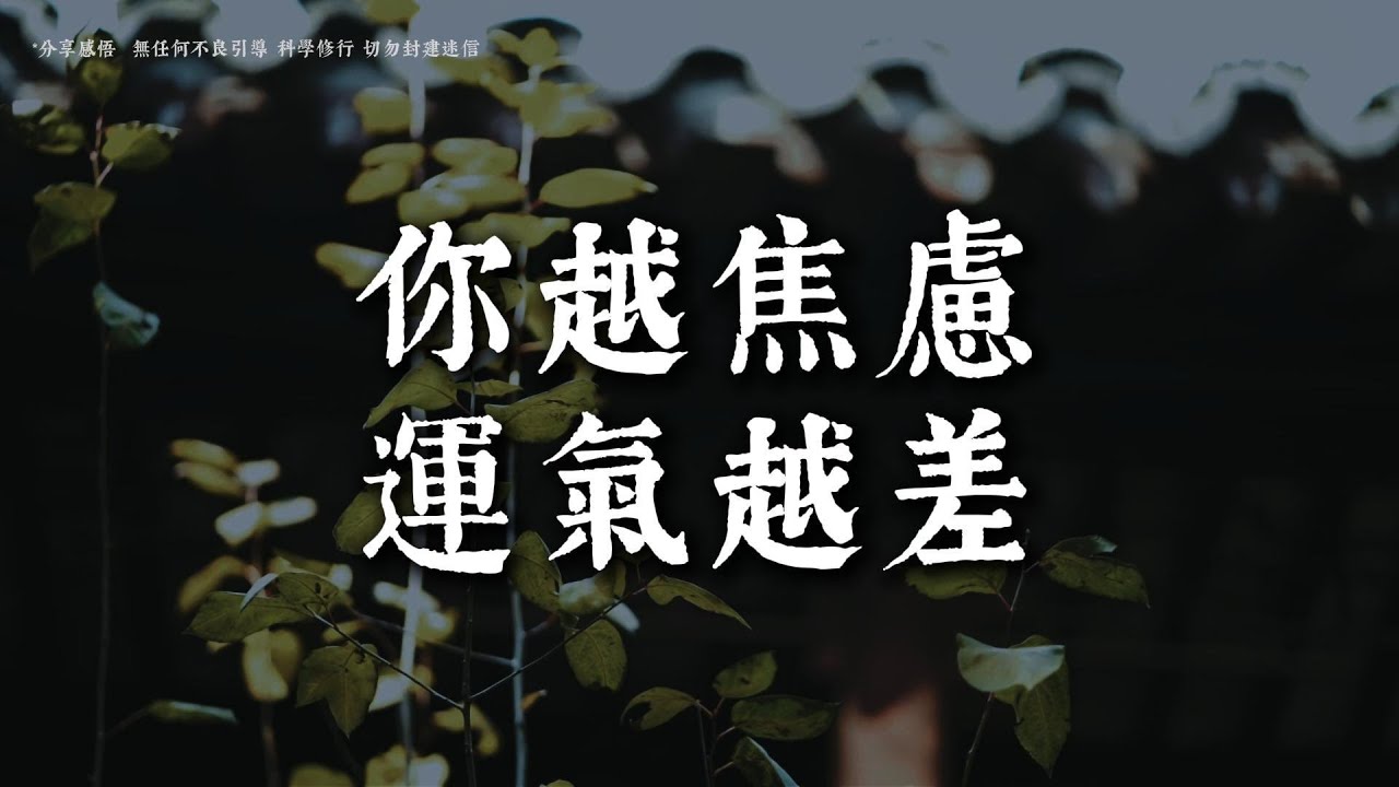 真正的好運，是你不再和自己對抗的那一刻丨#觀心慢修行 #國學 #佛學 #療愈 #佛法智慧 #人生智慧 #修行