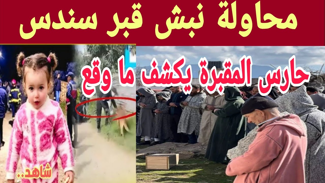 تفاصيل صادمة في قضية سندس.. محاولة نبش القبر وحارس المقبرة يكشف كل الأسرار!