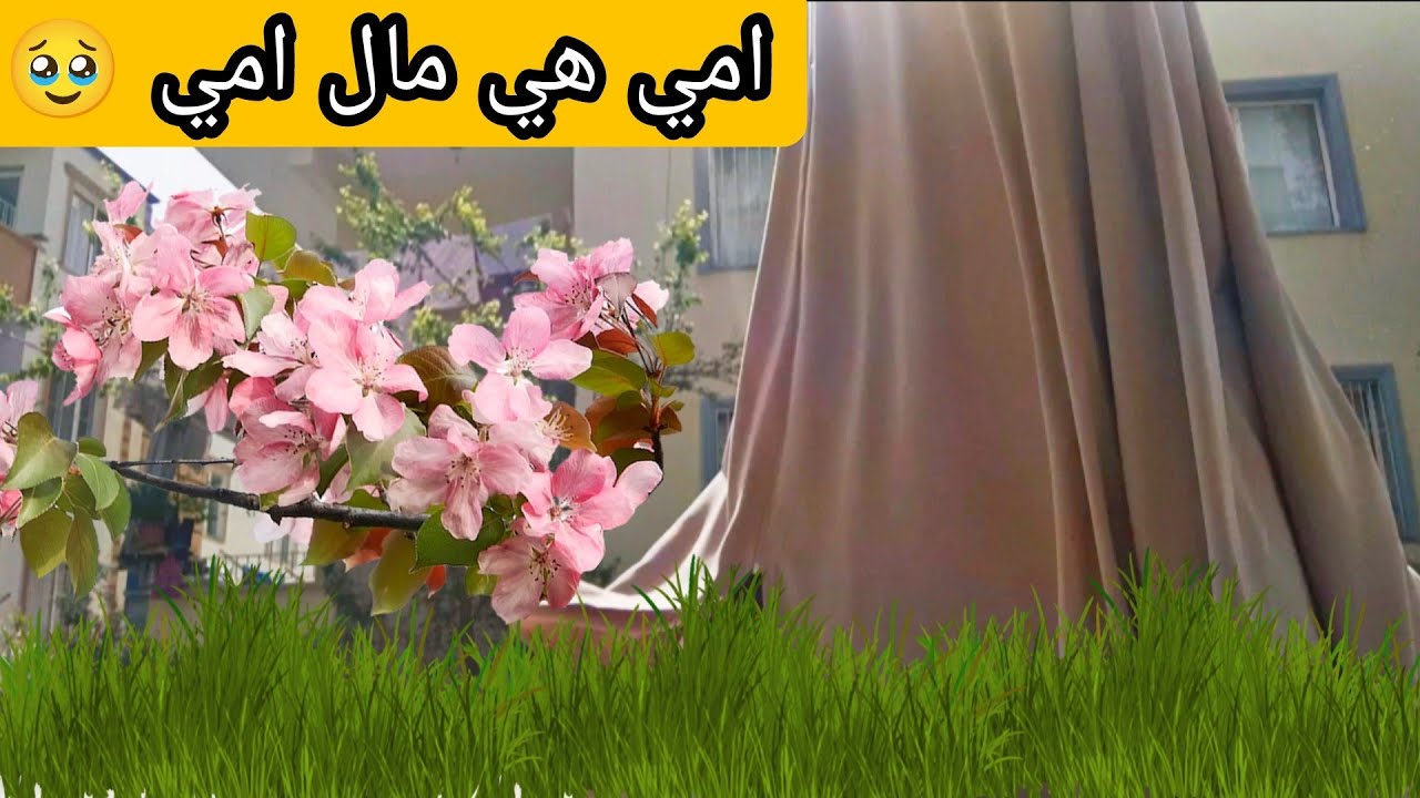 ماما وبابا جبروا بخاطري يومي كان كله صدفه بصدفه 🥹