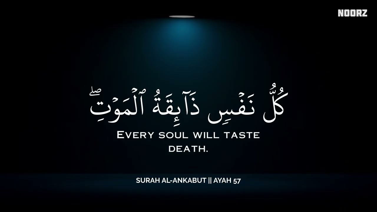 ساعة كاملة🕛🎧 | تلاوة تقشعر لها الأبدان بصوت محمد هشام | Reciter Mohamed Hesham | 💚🎧