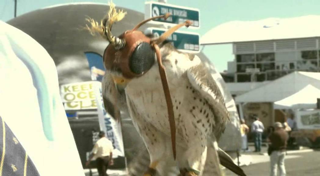 Os barcos regressaram à água na Volvo Ocean Race