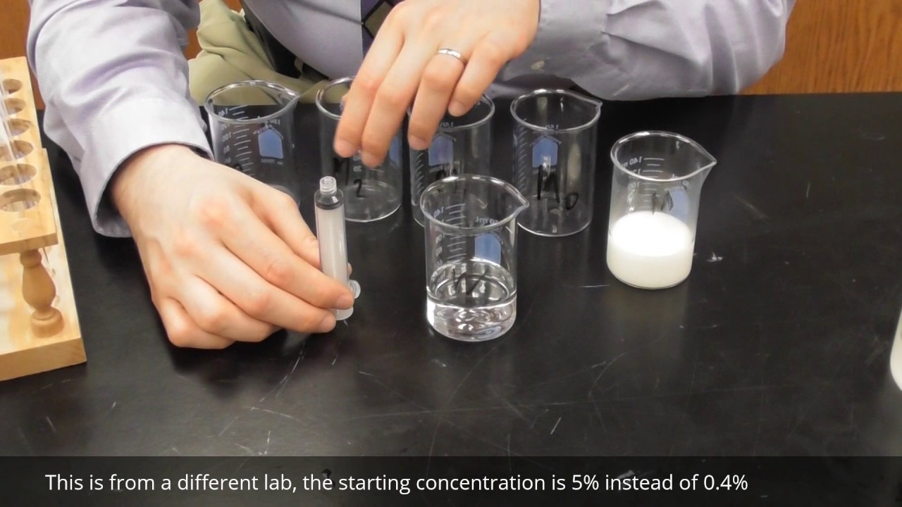 Serial Dilution