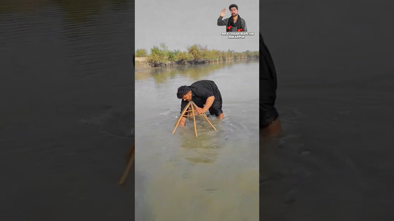 fishing 🎣 #comedy #fish #vlog #love #fishing #wildlife #crocodile #animals