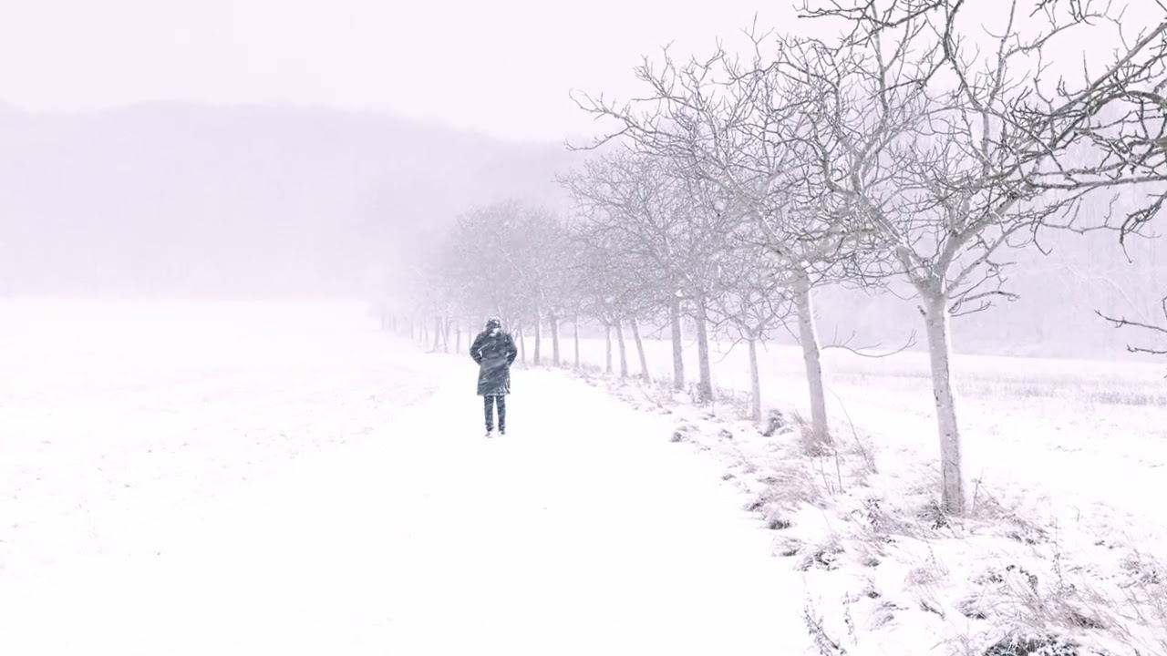 Snowfall