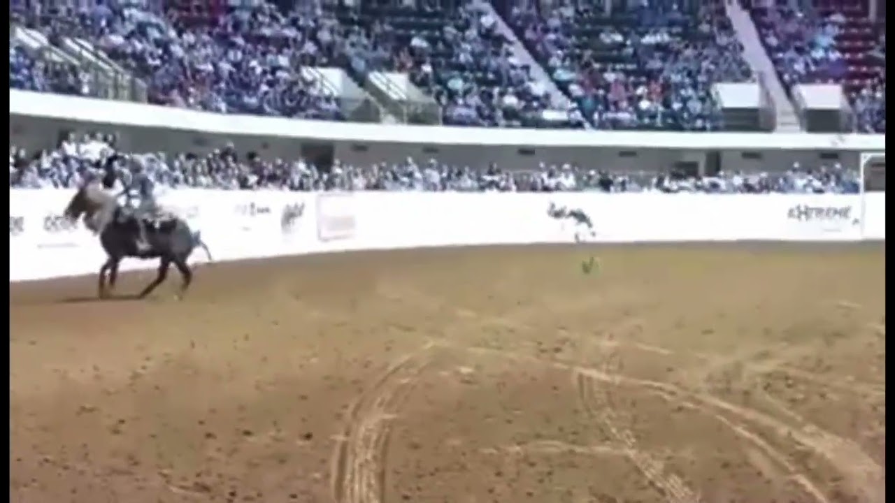 Extreme Mustang Makeover Freestyle- Hakuna Matata