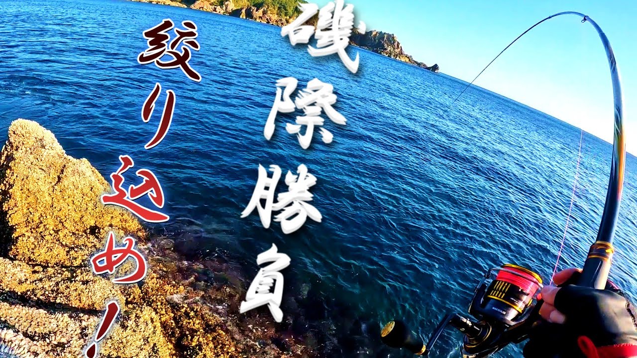 【磯グレフカセ釣り】磯際勝負❗ウキ沈むのは❕️やっぱり最高っ❕️