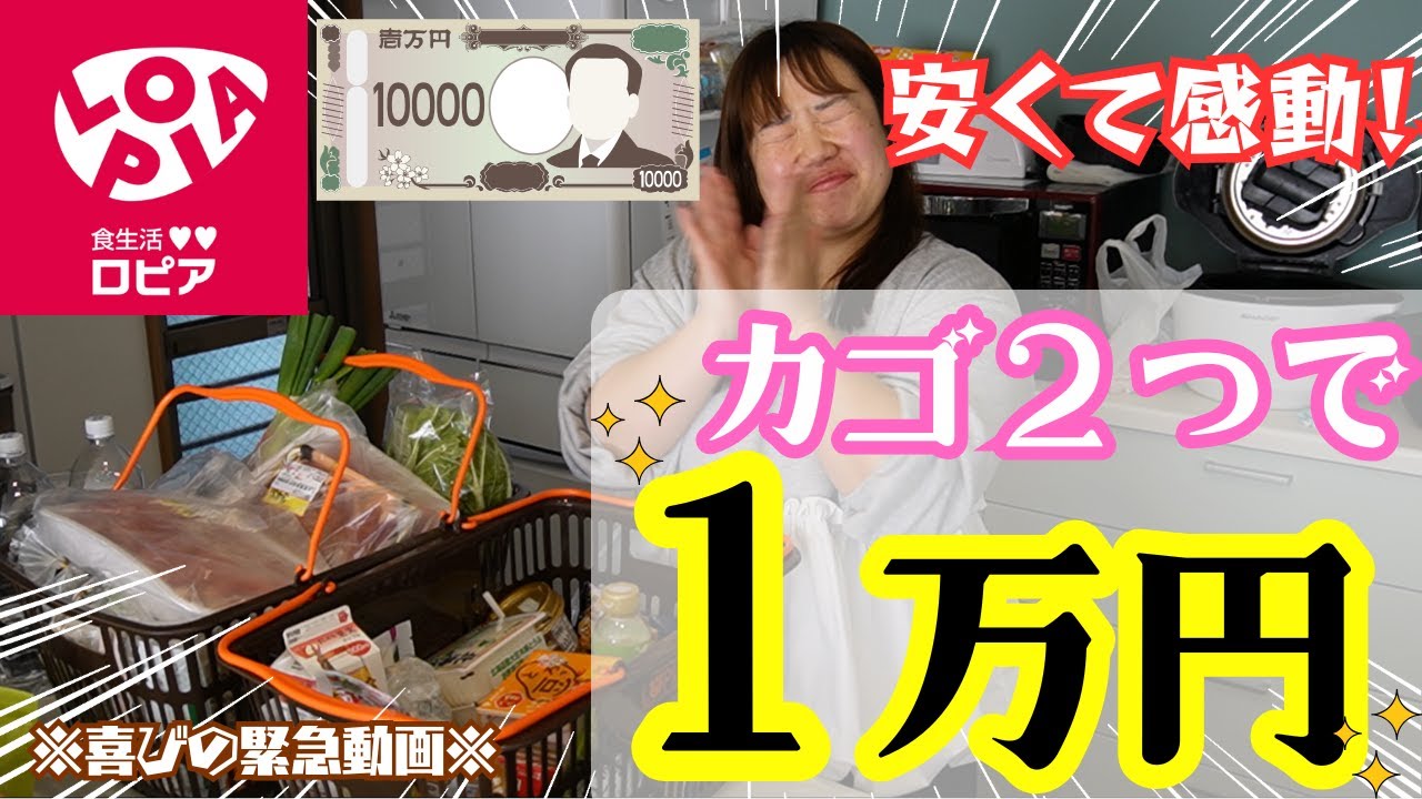 【購入品紹介】ロピアでカゴ2つ分買ったらお会計1万円切って大感動【主婦/沖縄そば】