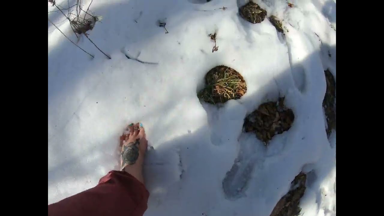 Barefoot in the Snow | Sunburst NC