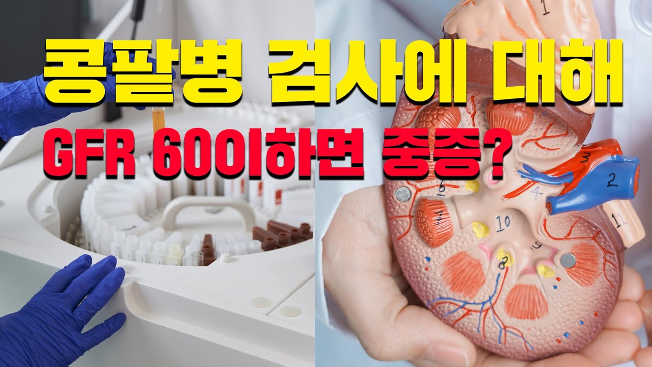 콩팥병: 왜 GFR 60 미만이면 바로 중증? /  혈압약먹고 콩팥기능상실 이유,