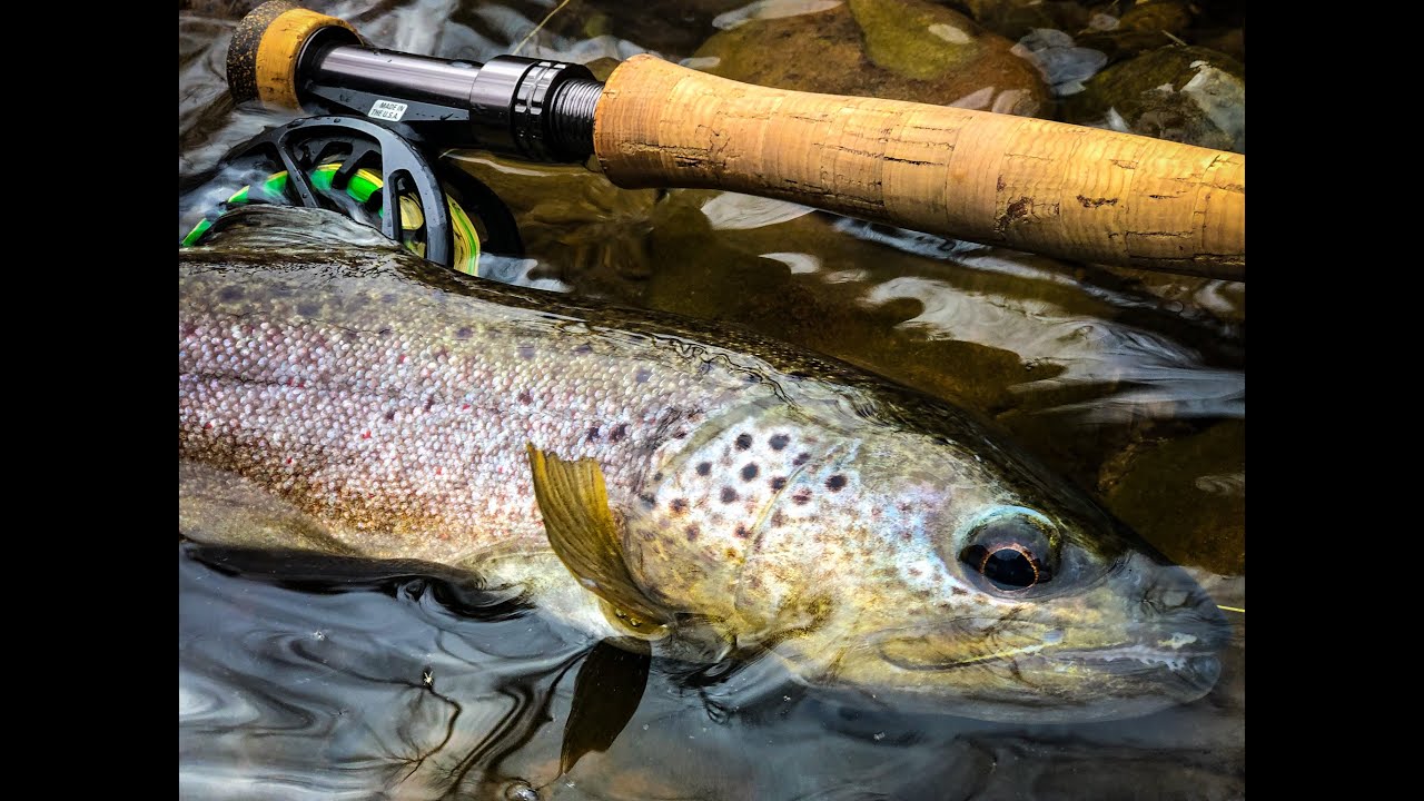 Euro Nymphing During The Grannom Hatch.