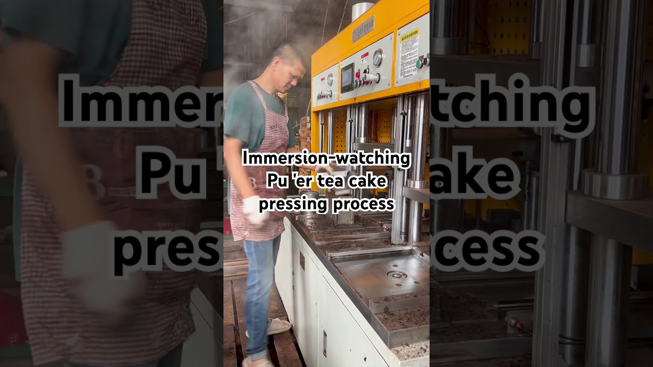 &ldquo;How Pu'erh Tea Cakes Are Made! 🍵  #tea #puerhtea #steepedroots
