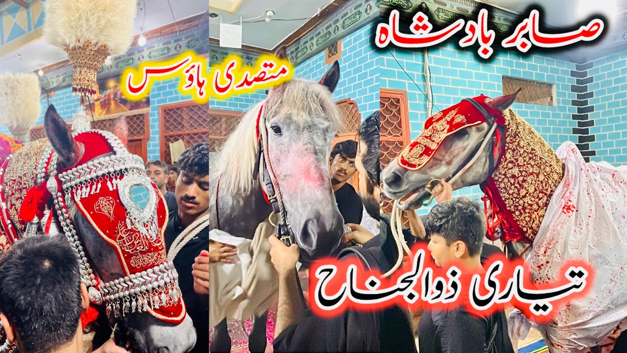 Zuljanah Tayari || 6 Muharram 2025 Musadi house mochi gate Lahore