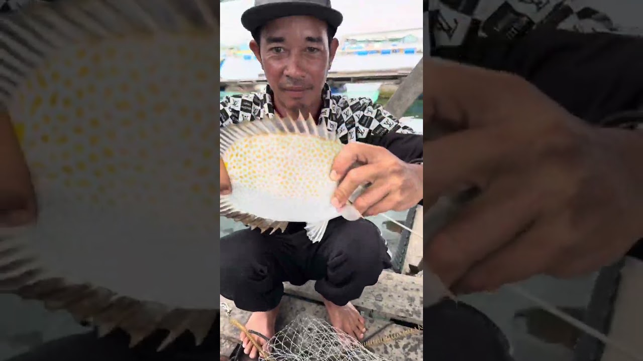 Một ng&agrave;y c&acirc;u c&aacute; giải tr&iacute; c&ugrave;ng &ocirc;ng anh