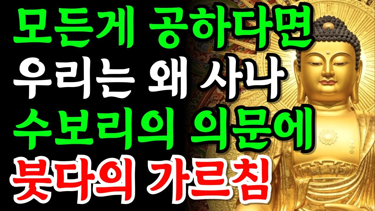 다 부질없는데 왜 살아야 합니까? 수보리 존자가 부처님께 던진 가장 위험한 물음 [불교지혜] | 부처님가르침 | 부처님말씀 | 부처님지혜