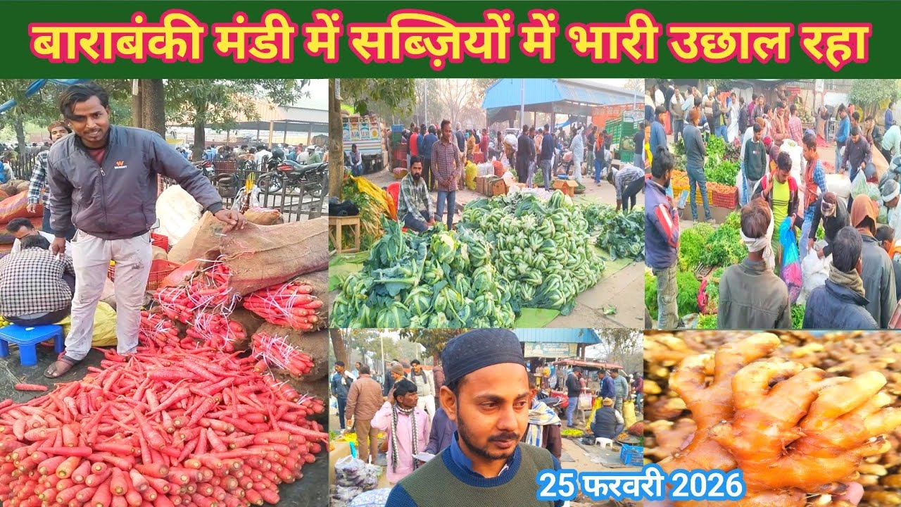 February 25, 2026 Barabanki 🍅 बाराबंकी मंडी में सब्ज़ियों में भारी उछाल रहा 🥰 sabjiyon ka bhav 