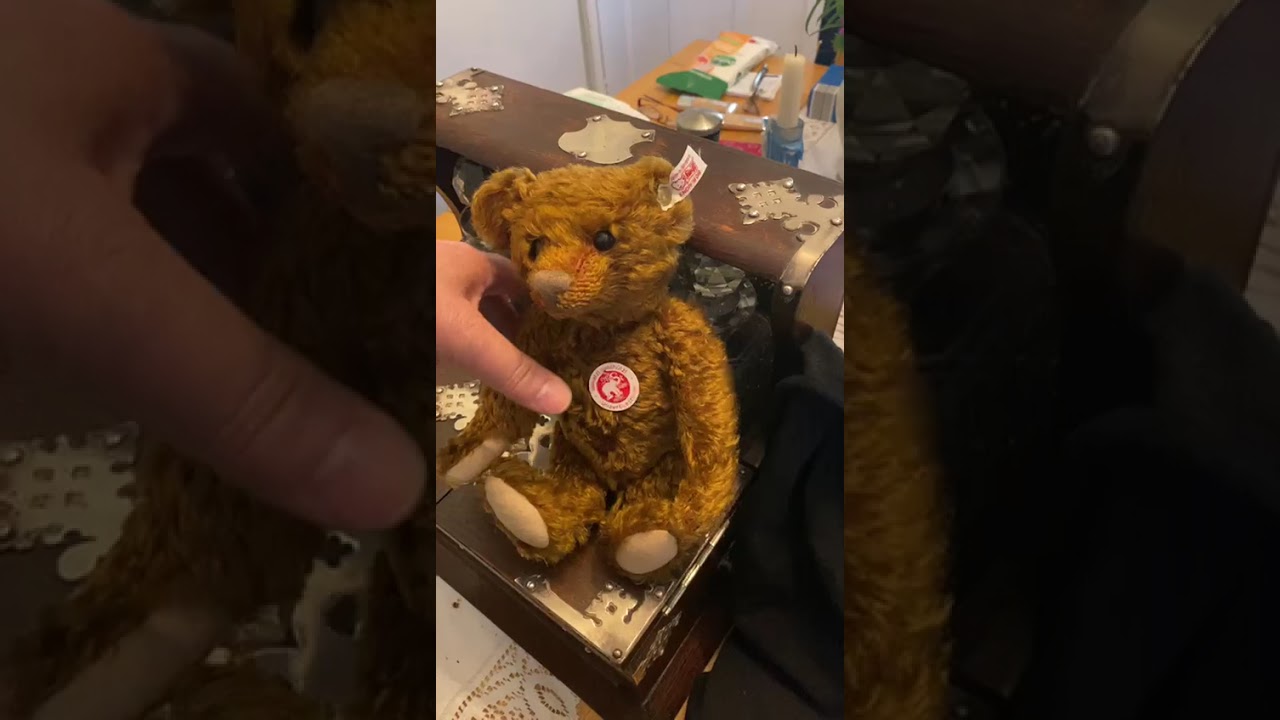 steiff bear #topbananaantiques #Tetbury