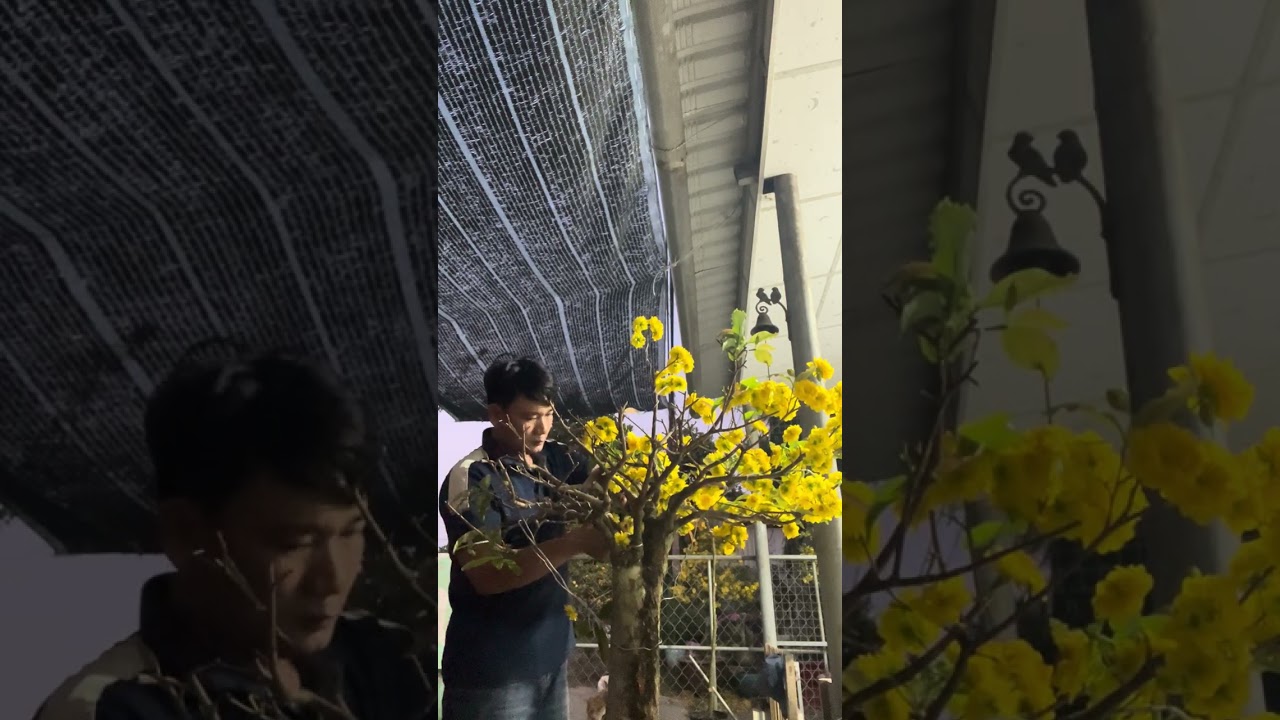 ngày 26 tháng 2, 2026