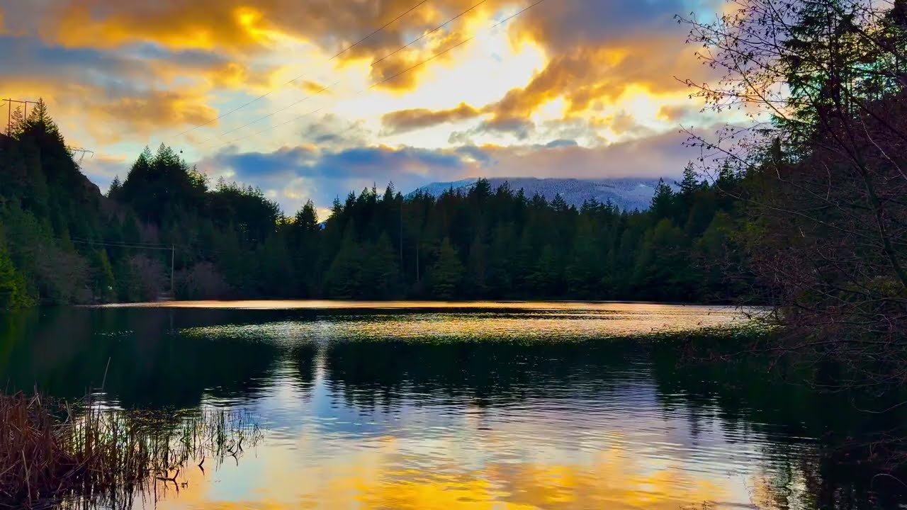 Silent Canada | 1 Hour of Pure Atmosphere – No Music, No Talking (4K)