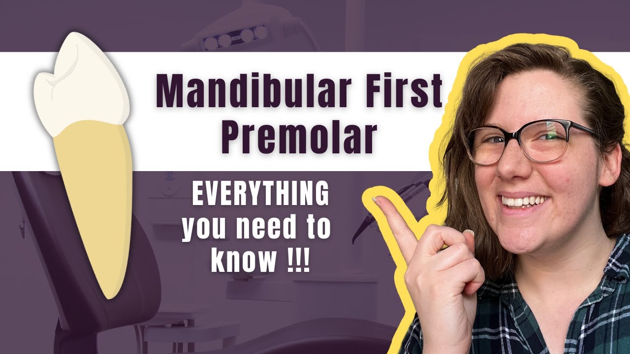 Mandibular First Premolar | The Definitive Tooth Anatomy Study Guide for Dental Students