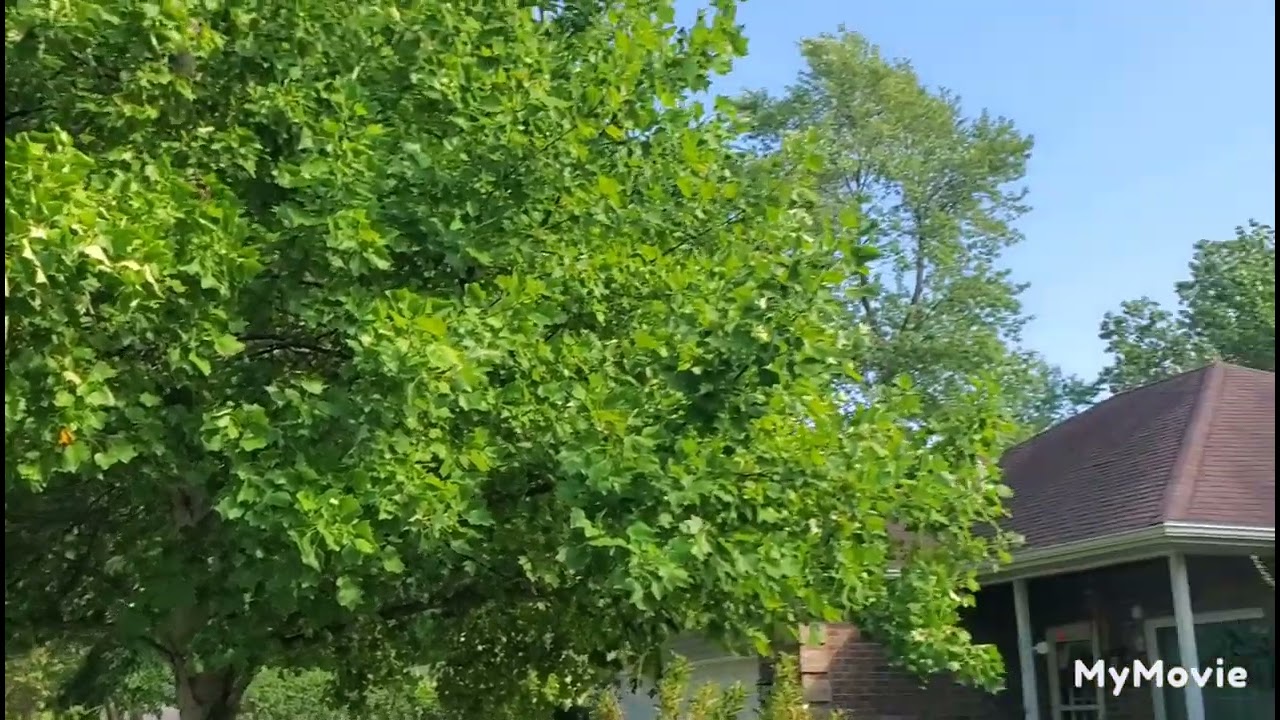 Street sweeper ambience