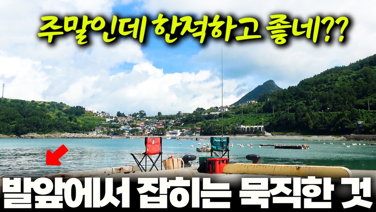 편하고 한적한데 묵직한 것이 잡히는 방파제 / 낚시 데이트 (박선비tv / 해신탕)