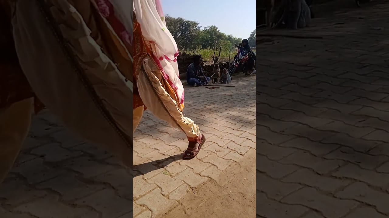 Dawni में बंदर का खेल