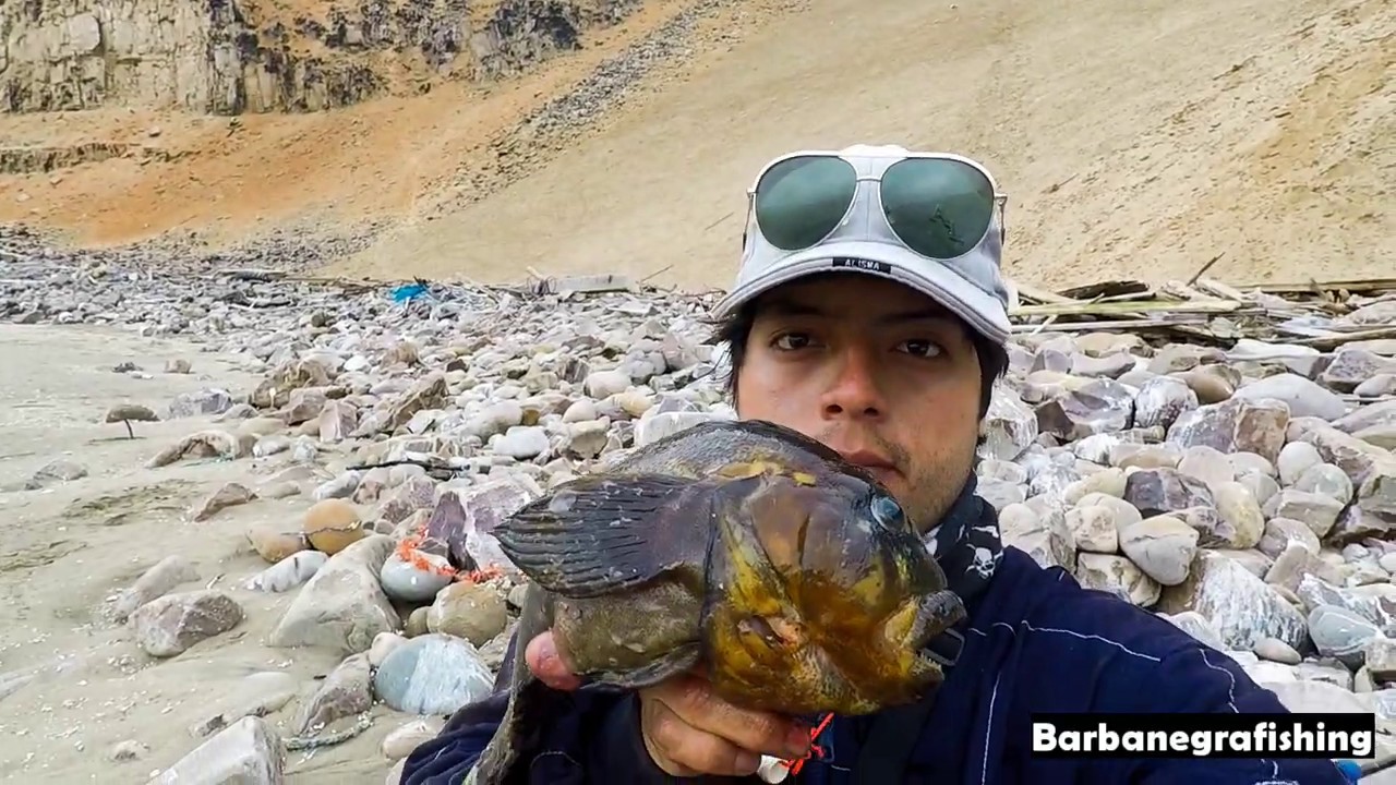 PESCA DE JERGUILLO  PINTADILLA  TRAMBOYO  GIGANTES EN PERU CAMPAMENTO Y COCINA