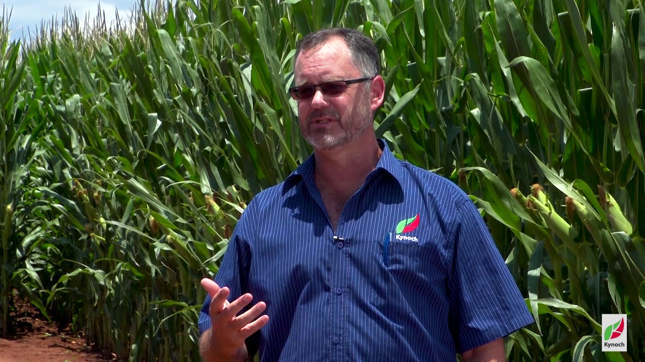 Kynoch's Fertilizer range and the combination of Kynoch's product and services