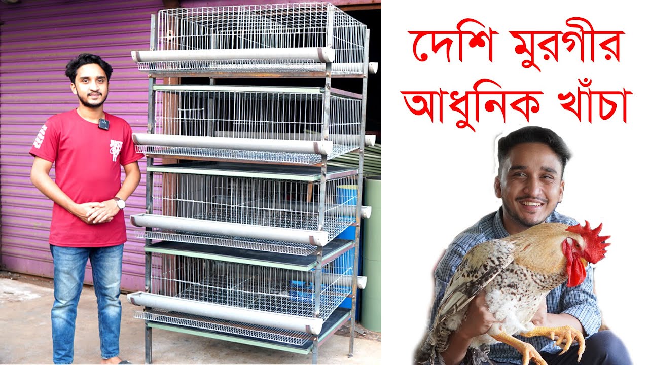 আফিফা ইনকিউবেটর বনাম অন্যান্য খাঁচা সিস্টেম কোনটি আপনার মুরগীর জন্য ভাল? খাঁচায় মুরগি পালন