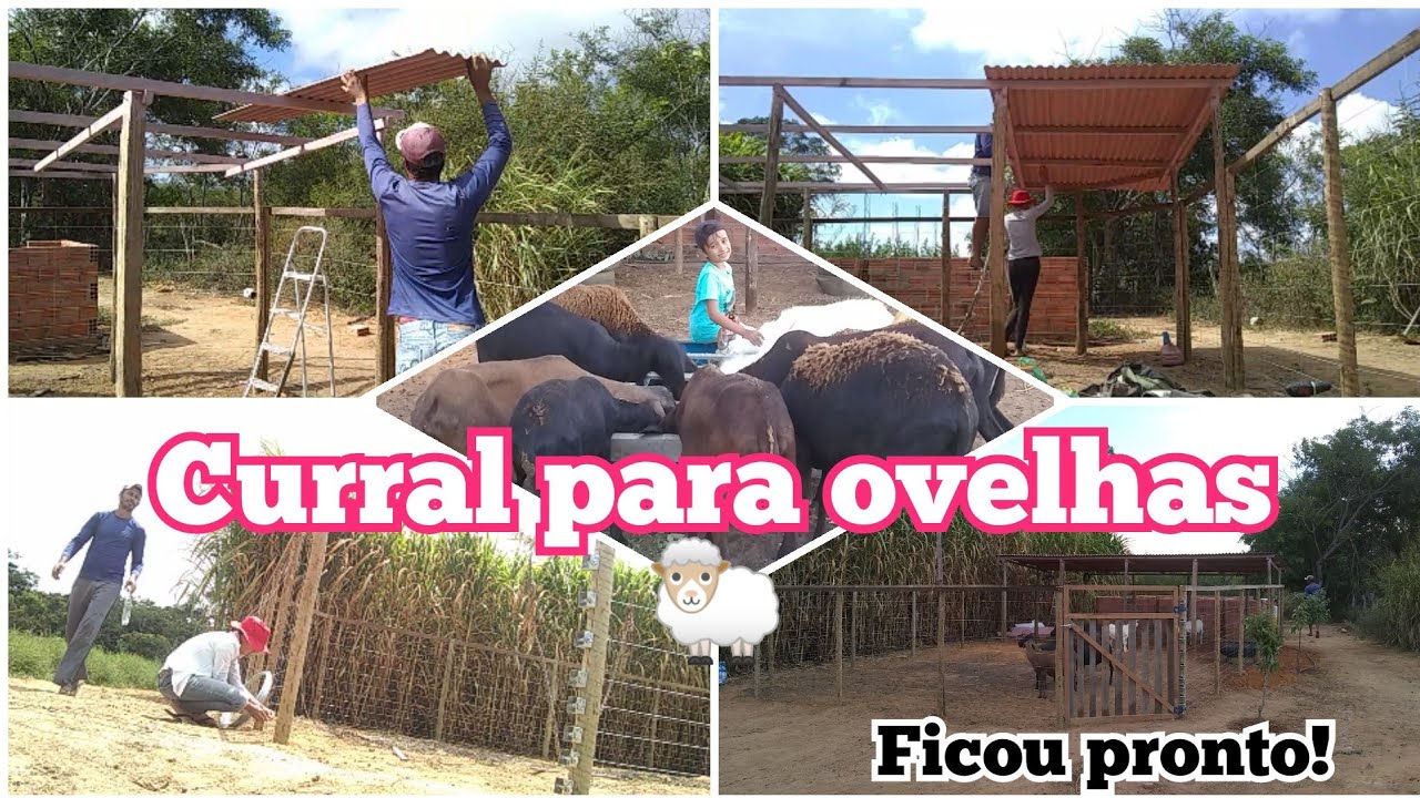 COMO FAZER UM CURRAL PARA OVELHAS?🐑 Continuação... Parte2.