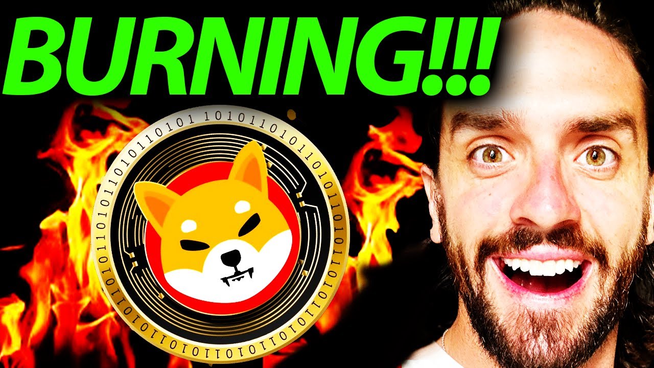 SHIBA INU - BURNING RATE GOING WILD!!!! #SHIBAINU #SHIBTOKEN #SHIBAINUCOIN