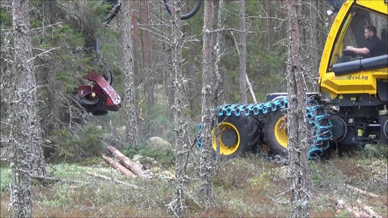JPS R5500 on a Eco Log 560E/Log Max 5000D
