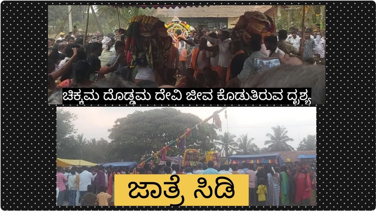 ಪೆದ್ದಿಹಳ್ಳಿ ಜಾತ್ರೆ|ಚಿಕ್ಕಮ ದೊಡ್ಡಮ ದೇವಿ ಜೀವ ಕೊಡುತಿರುವ ದೃಶ್ಯ|ಜಾತ್ರೆ ಸಿಡಿ|Peddihalli jatre|Tiptur|Sidi
