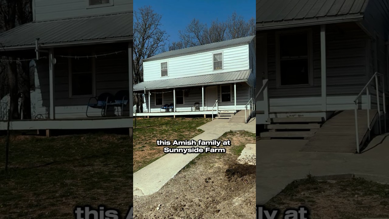 No Wifi and Zero Electricity:  Amish Simplicity #homesteading #sustainableliving #homeschooling