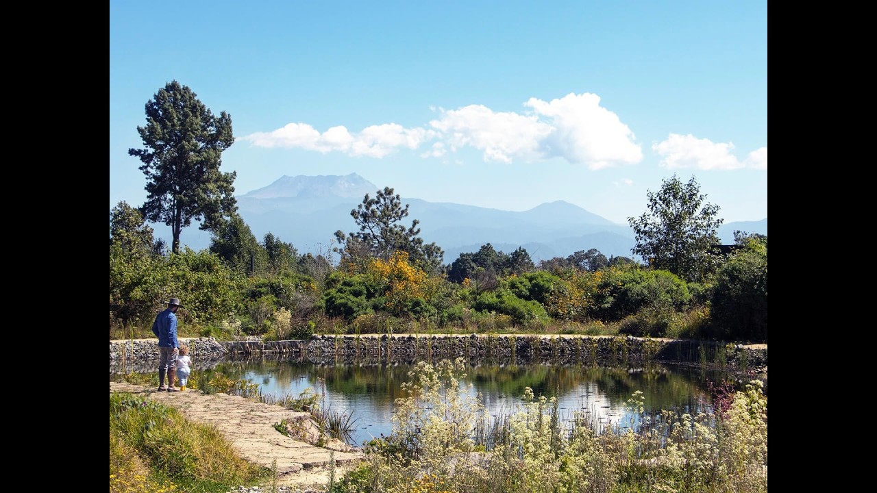LOTES CAMPESTRES EN VALLE DE BRAVO | RESERVA B33