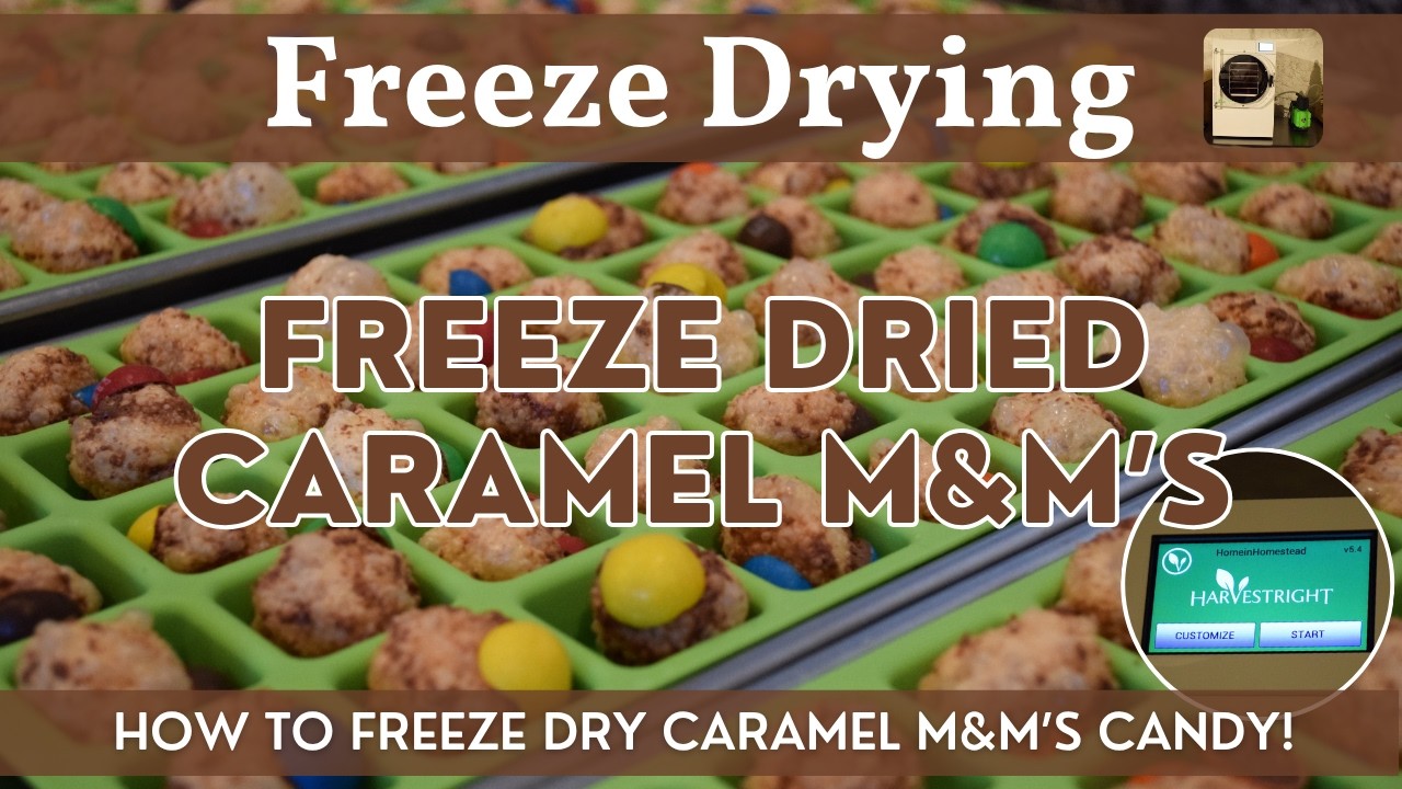 Freeze Dried Caramel M&M's | Harvest Right Freeze-Dried Candy | How to Freeze Dry M&M's Step by Step
