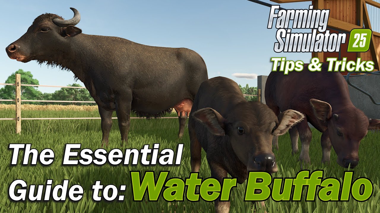 Полное руководство по разведению буйволов в Farming Simulator 25
