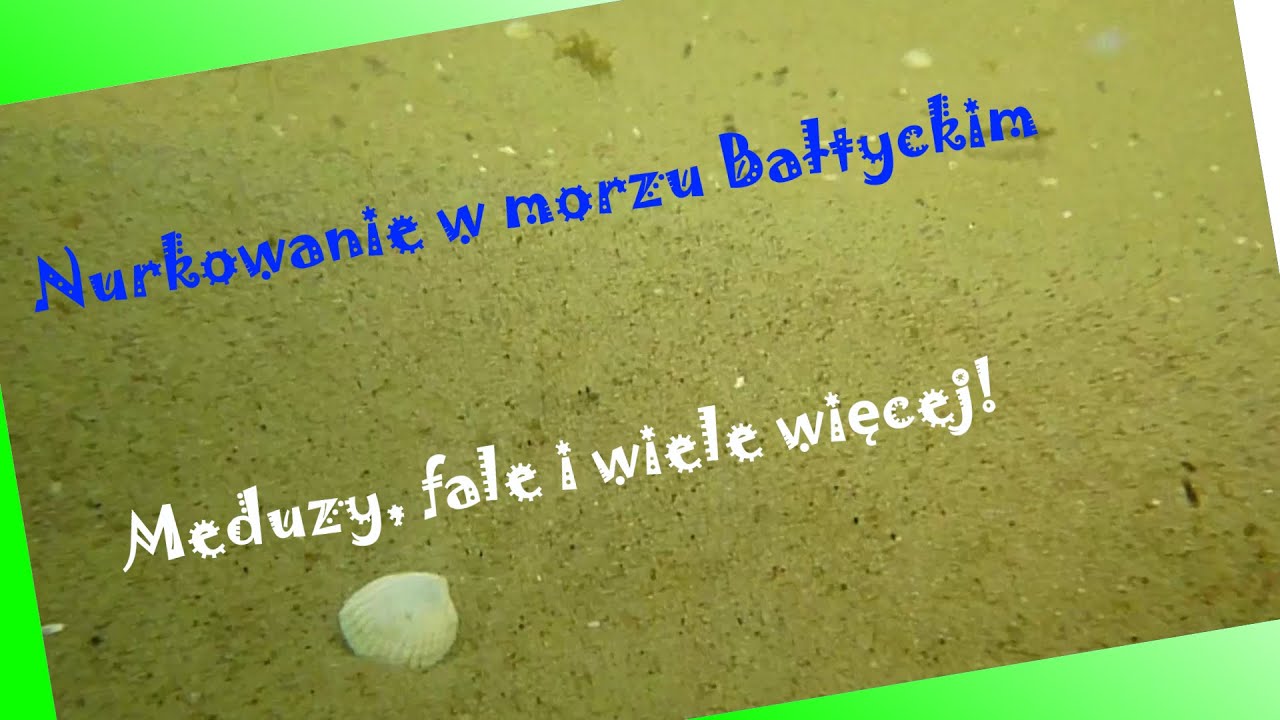 Nurkowanie w morzu Bałtyckim